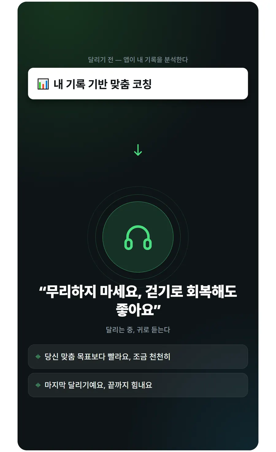 내 기록을 분석해