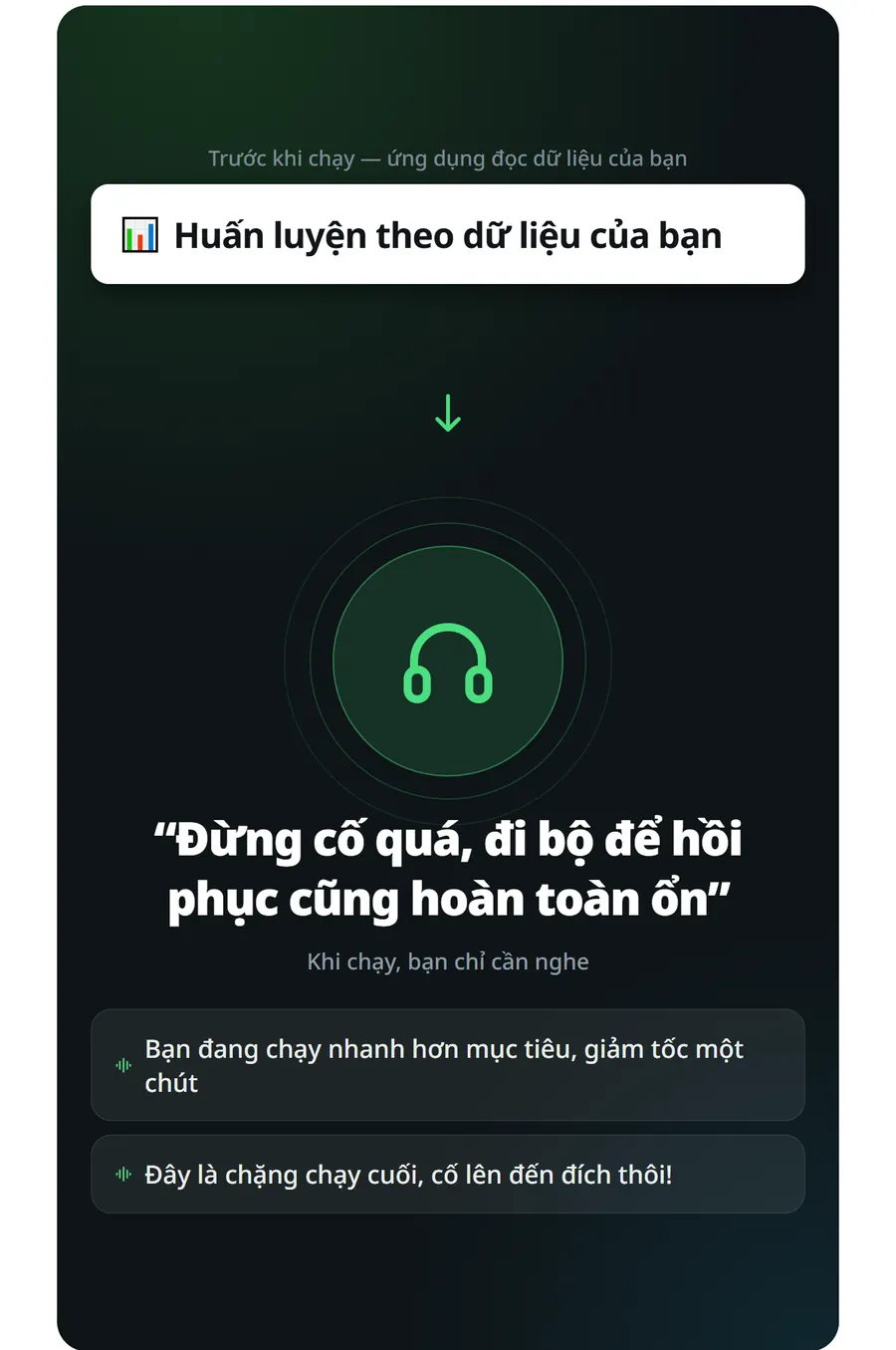 Phân tích dữ liệu